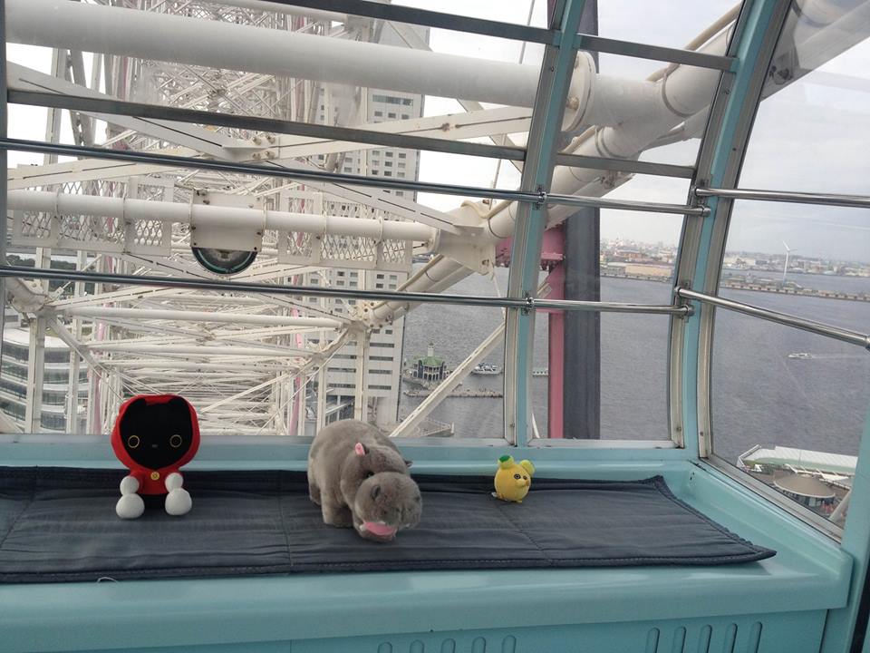 Japánban utazási iroda nyílt plüssállatoknak