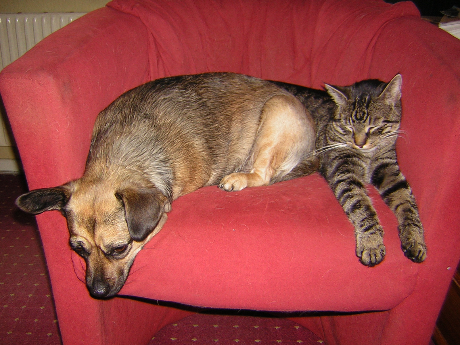 Csodásan marják egymást a neten az ellenzékiek