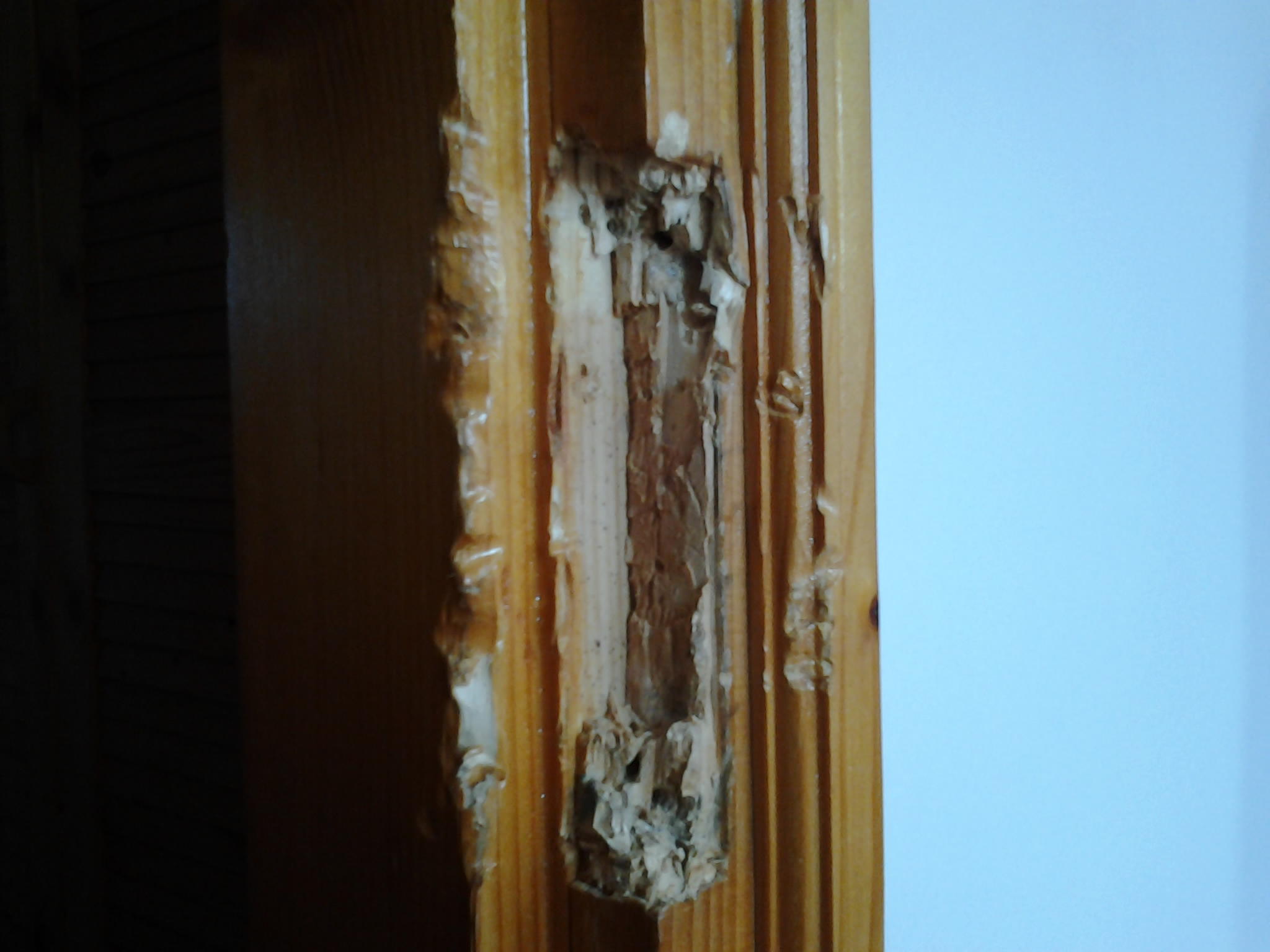 Közkívánatra: az ajtókeret. Milyen címet adnátok ennek a műalkotásnak?