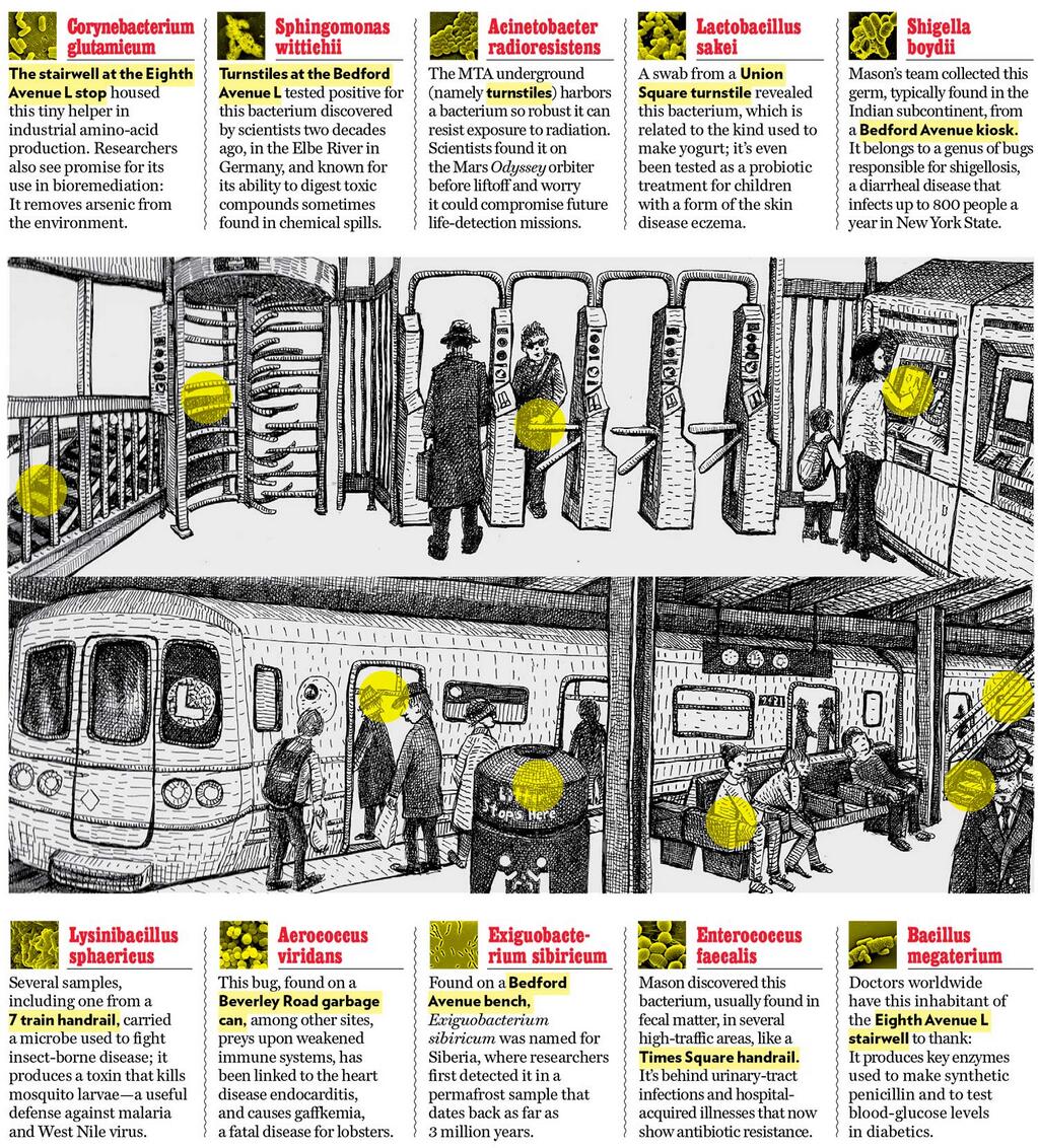 Illustration for article titled Tele van a metró undorító bacilusokkal