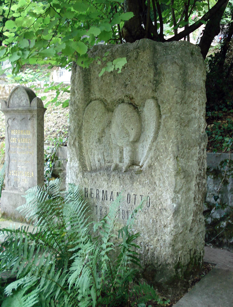 Illustration for article titled Undorító merényletet követett el Herman Ottó sírja ellen egy politikus