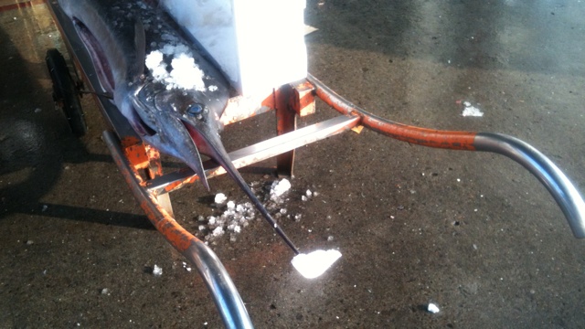 Szúr a marlin? Húzz rá hungarocellt!