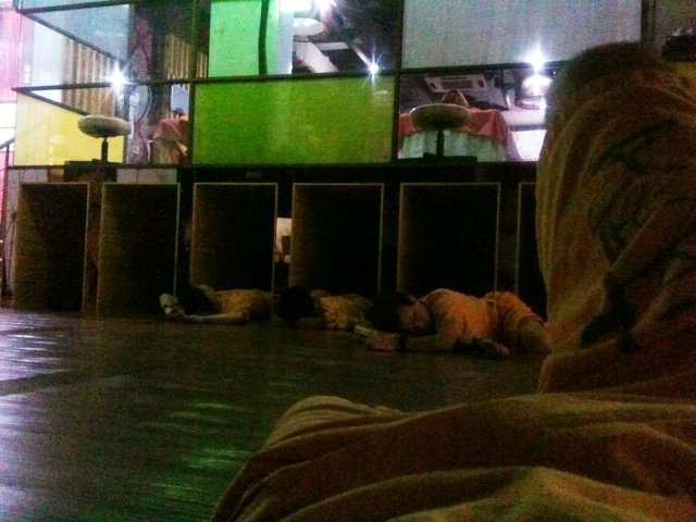 Illustration for article titled Megmásztuk a donáldkacsázás Everestjét