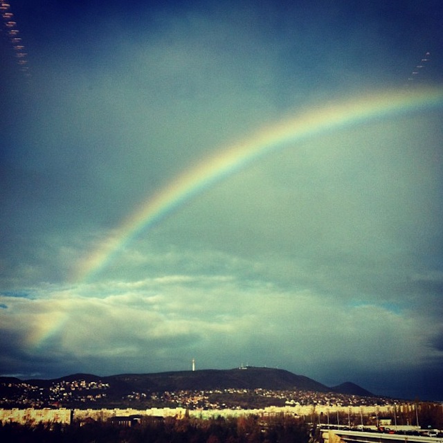 Illustration for article titled Meggajdult a magyar internet a novemberi szivárványtól