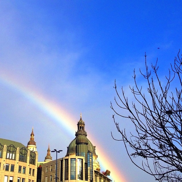 Illustration for article titled Meggajdult a magyar internet a novemberi szivárványtól