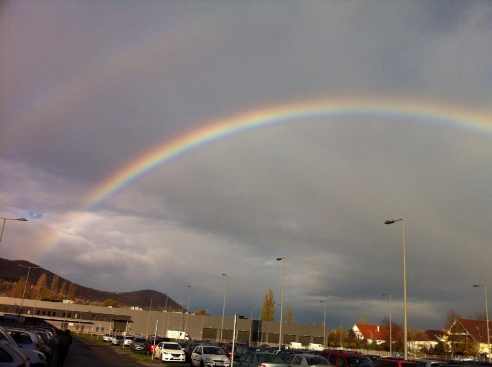 Illustration for article titled Meggajdult a magyar internet a novemberi szivárványtól