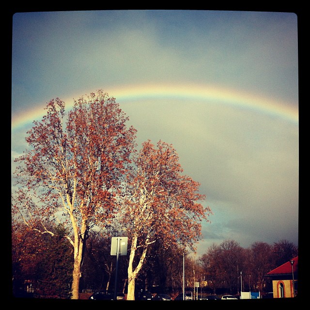 Illustration for article titled Meggajdult a magyar internet a novemberi szivárványtól