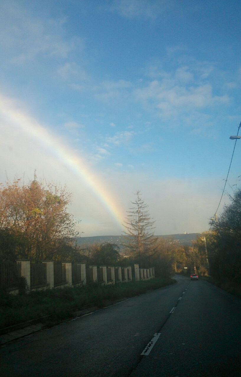 Illustration for article titled Meggajdult a magyar internet a novemberi szivárványtól