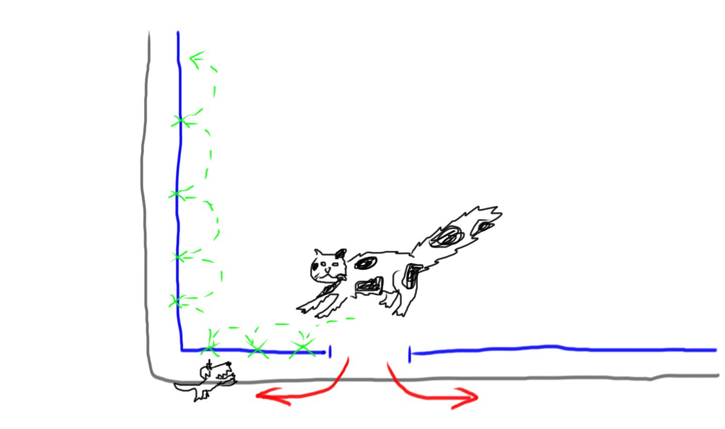 Illustration for article titled Extracuki: Nem hagyja a macska, hogy megsétáltassam a kutyát