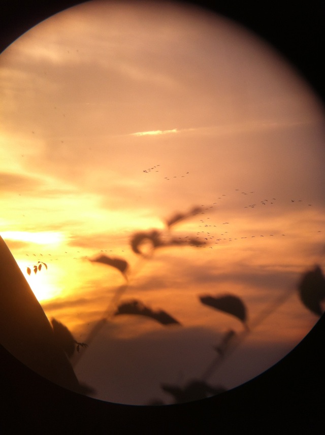 Illustration for article titled Darvakat bámultunk a világ körül