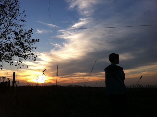 Illustration for article titled Darvakat bámultunk a világ körül