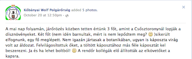 Illustration for article titled Jó héthónapos spéttel gondoltam bele