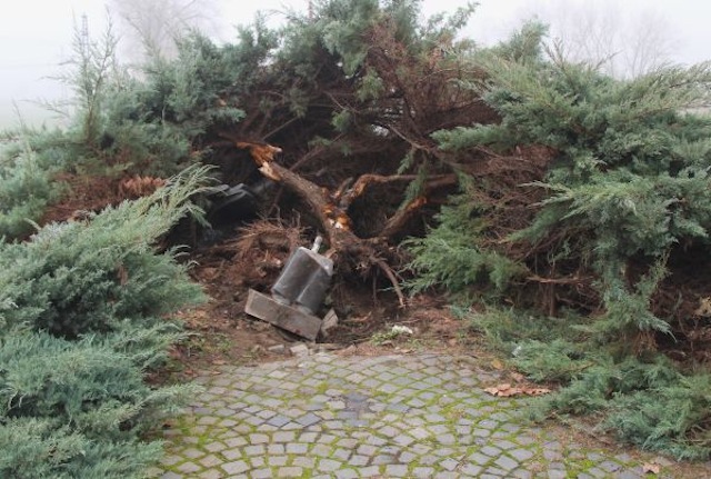 Diszkóbaleset volt a Radnóti-rongálás, feladta magát az elkövető