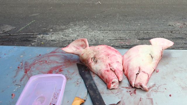 Szombaton megy Mario Götze először vissza Dortmundba