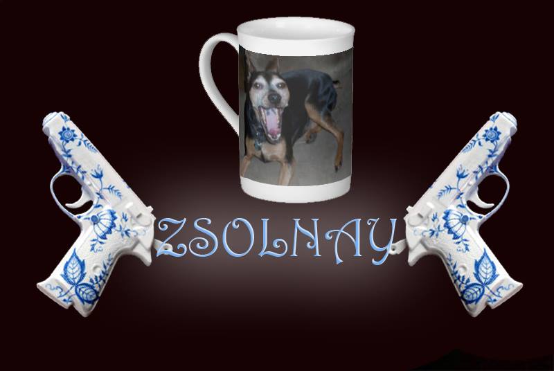 Illustration for article titled A Zsolnay család tombol, lefújták a Zsolnay Céh megalapítását