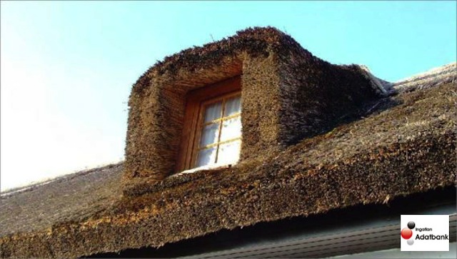 Illustration for article titled Tényleg 165 millióért vehetsz magadnak itthon egy várat?