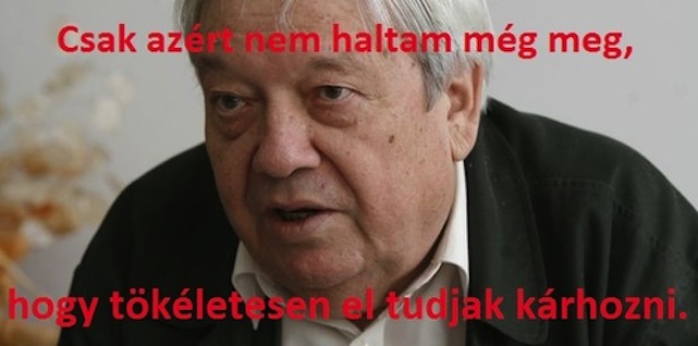 A nap újságírói kérdése a Magyar Nemzetes Megyeri Dávidé