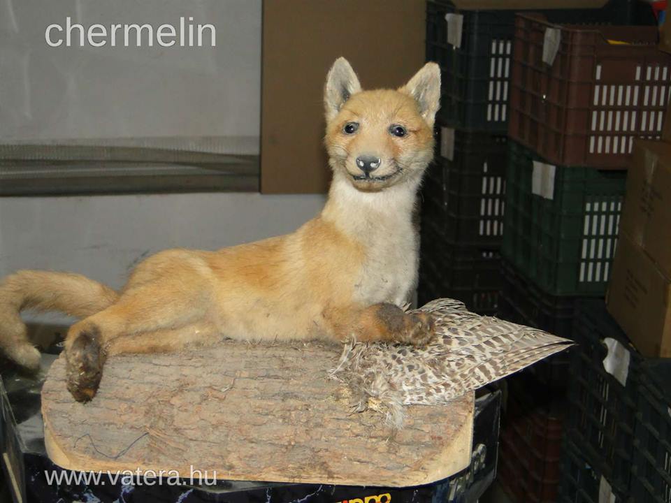 Illustration for article titled Kincsesbánya! A legsúlyosabb vaterás tárgyak egy helyen!