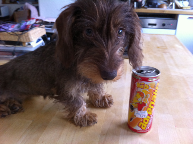 Mintha drogos cukorkát osztogatnának iskolák előtt