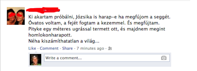 Miért harap a Józsika, ha megfújják a seggét?