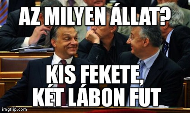 Illustration for article titled Mémregény készült a Mandela temetésére induló Semjén Zsoltról