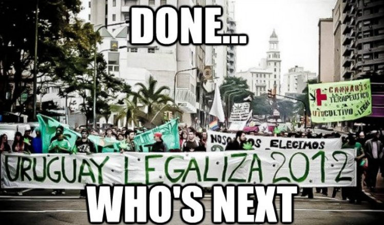 Egy dollár a fű hatósági ára Uruguayban