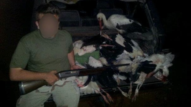 Ezek a köcsögök lövik agyon a vándorló gólyákat