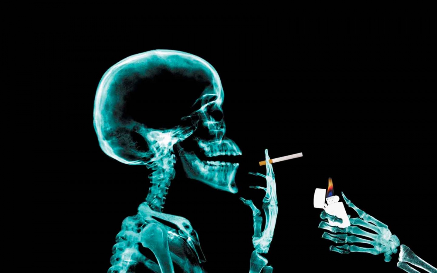 Koltay Gábor filmes kétmilliót kap, hogy megvizsgálja Orbán csontvázát