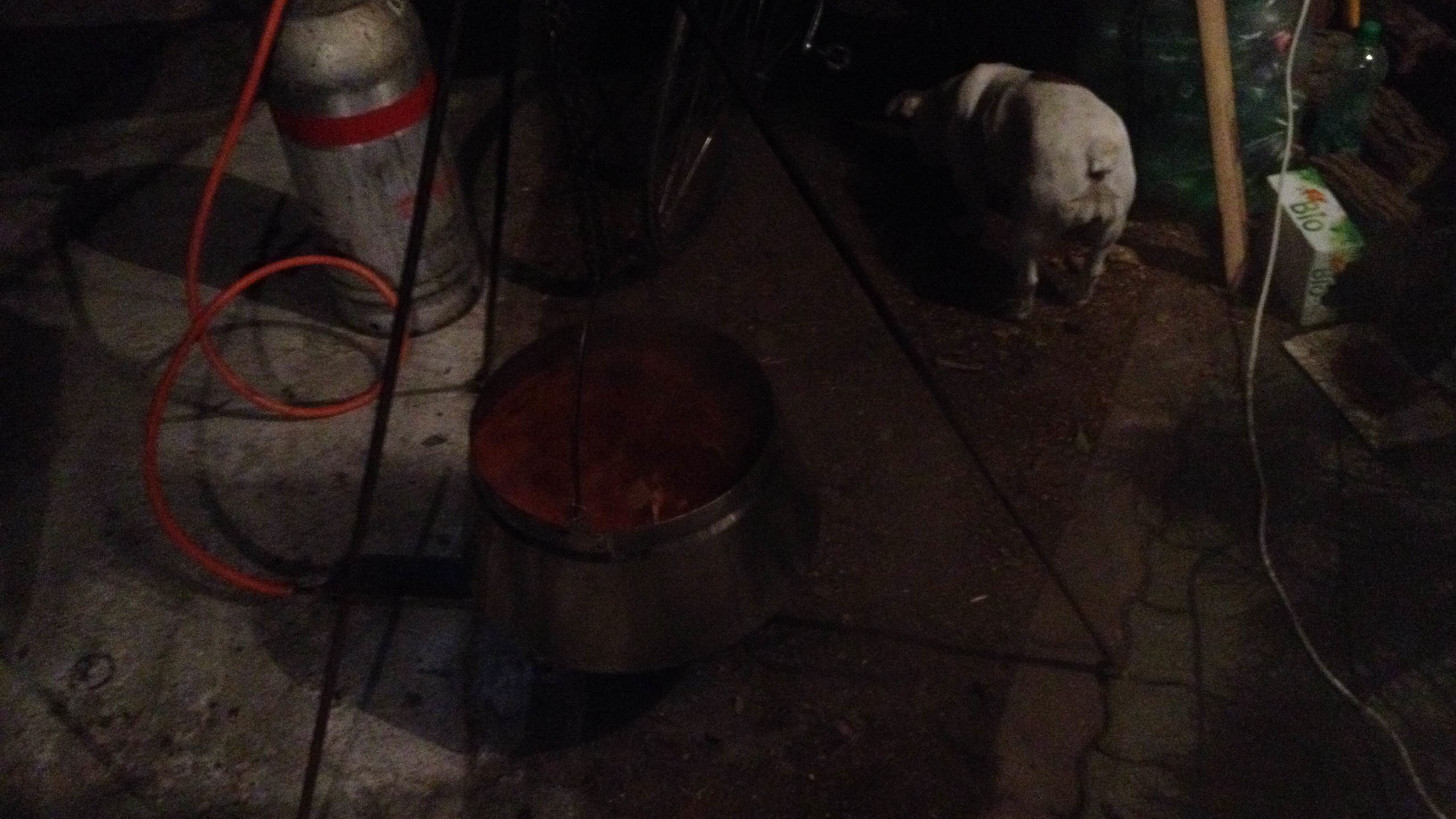 Illustration for article titled Elmentem vidékre turnézni két magyar zenekarral és ez lett a vége