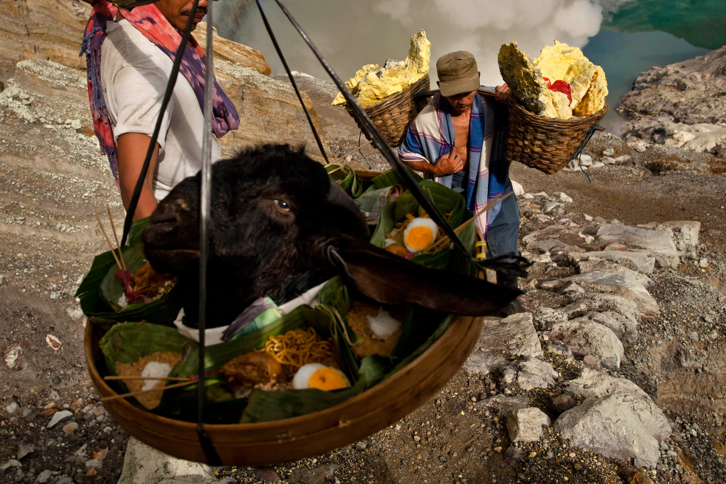 Áldozati kecskét ásnak a tűzhányó kráterébe a jávai kénbányászok