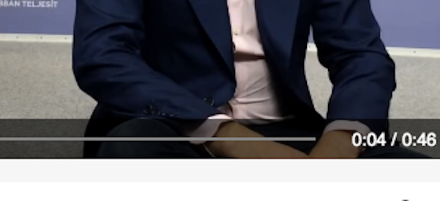 Rogán Antal meghízott