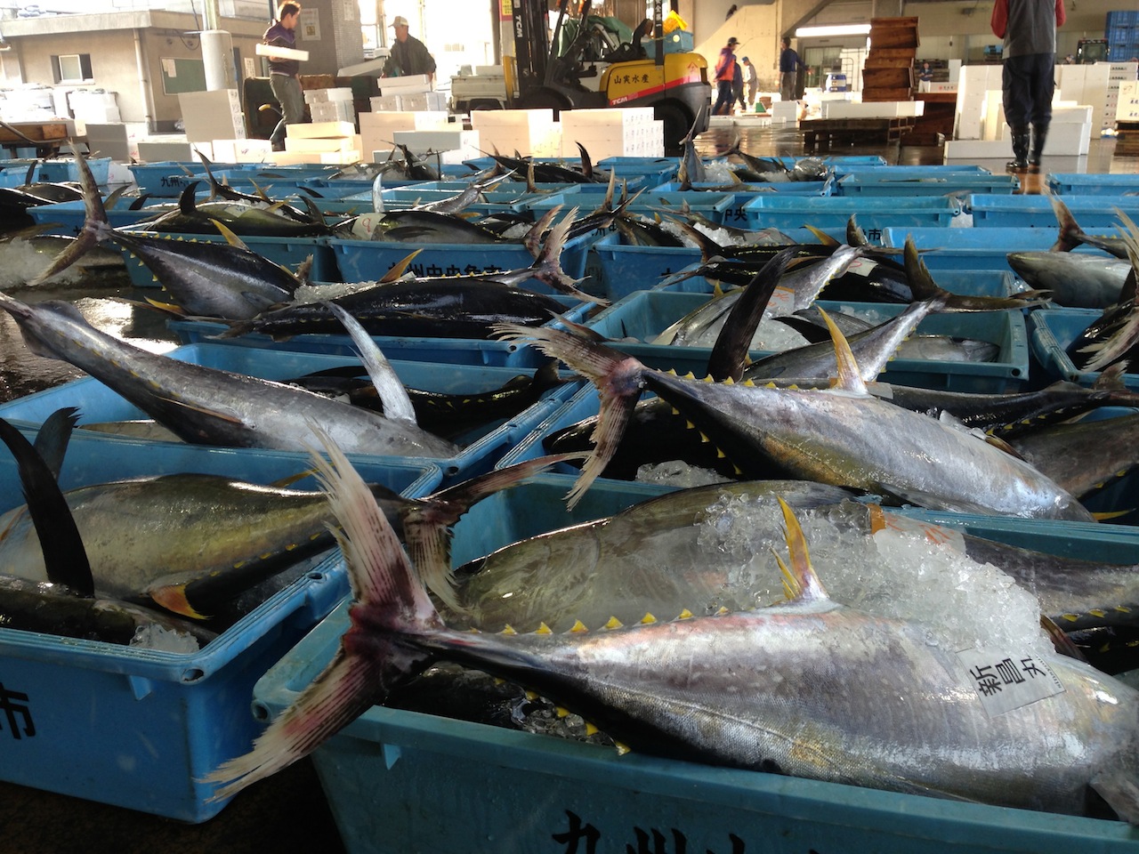 Illustration for article titled Menekülés a csendes éjből