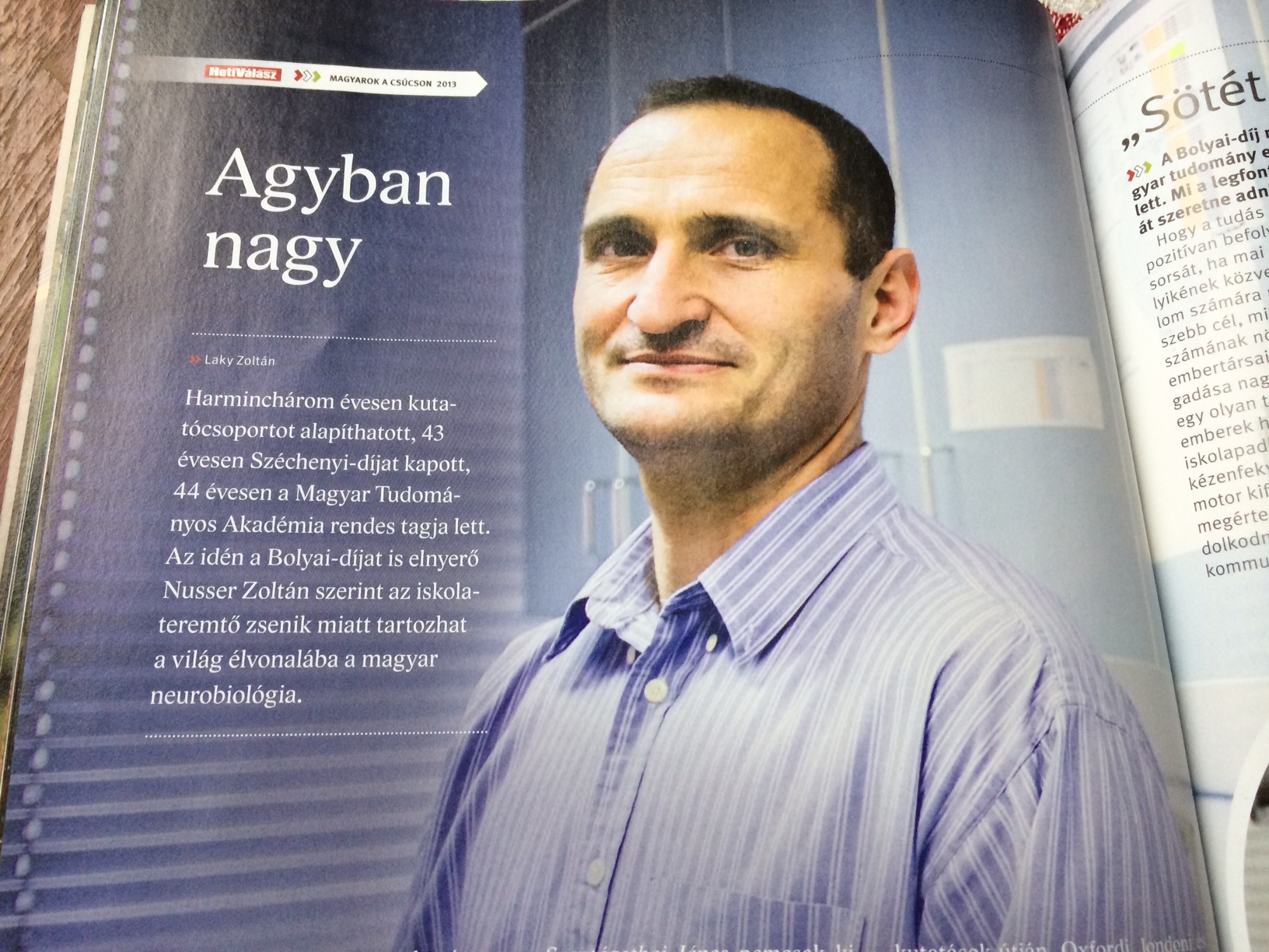 Illustration for article titled Hogyan toplistáz egy seggnyaló?