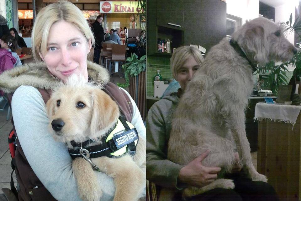 Illustration for article titled Kedves ünneplő olvasók!