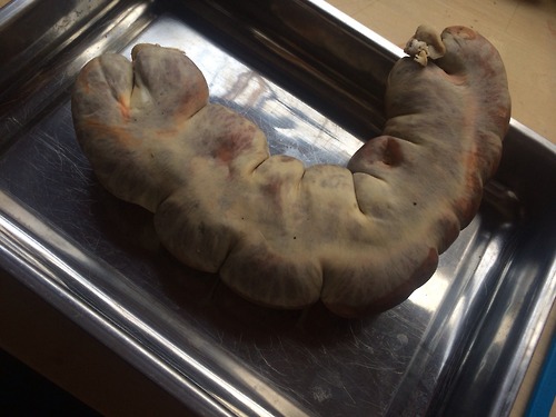 Illustration for article titled Hajdú: Puzsér egy alávaló szarházi, egy elfuserált képződmény