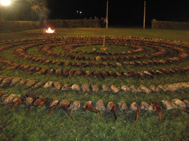 Illustration for article titled 913 lelőtt állat, fenéken pálcázás - így mulat egy fideszes magyar úr