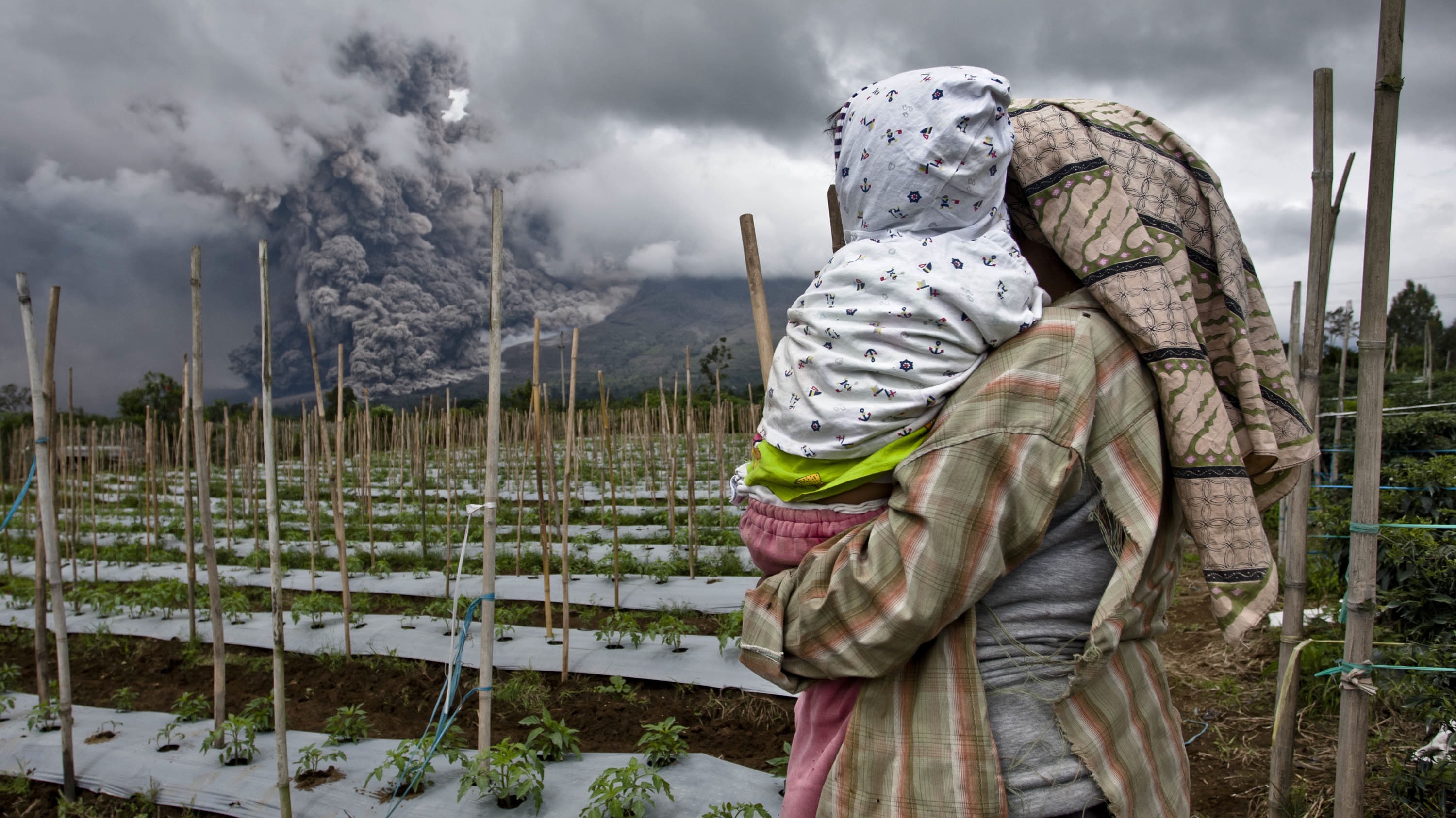 Azért örülök, hogy nem ma kell paradicsomot szednem Indonéziában