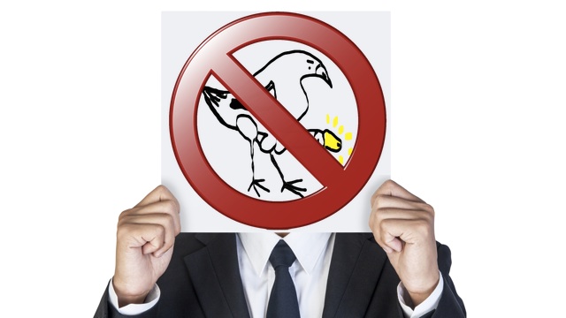 Hányan mondanak nemet a Magyar Krónikára?