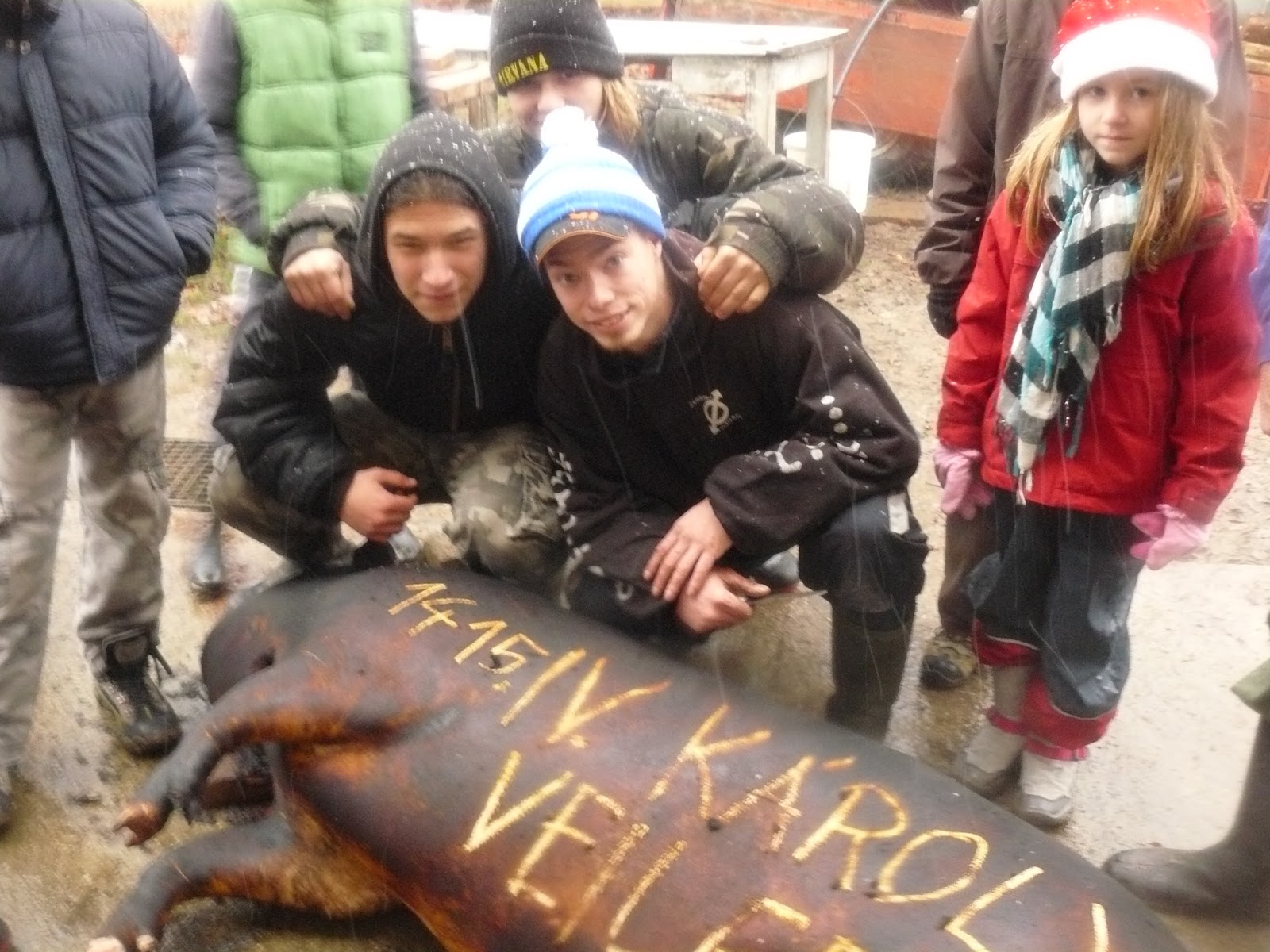 Disznóvágás a Nagykörúton belül: kitört a botrány (frissítve)