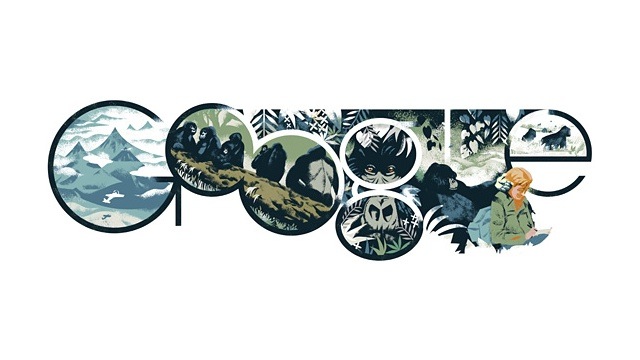Dian Fossey és a Virunga-tűzhányók a Google címlapján