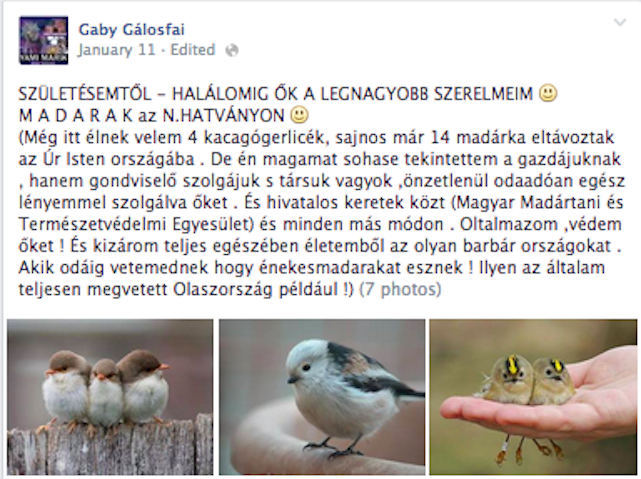 Illustration for article titled Az internet ismeretlen királya Gaby Gálosfai, a videózseni