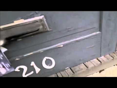 Anyjába küldi a postást a kiscica