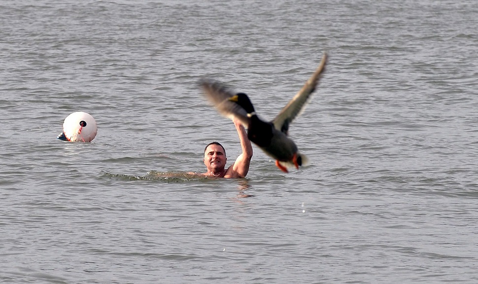Jeges úszásodra mindig számíthatunk