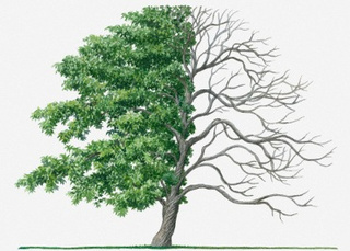 Hogy működik a társalgás a Kinján?