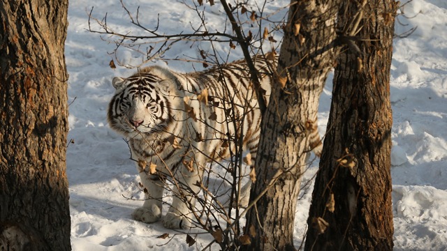 Társalgás van, nem posztok és kommentek