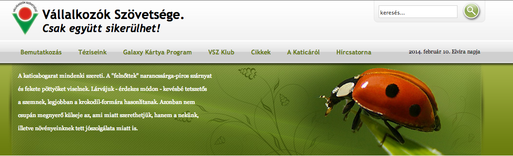 Mégis van alternatíva! Itt egy adag frissen jóváhagyott hülyepárt