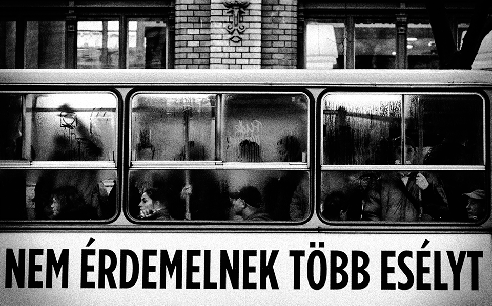 A fél internet ezt a fotót osztja, én se akarok kimaradni