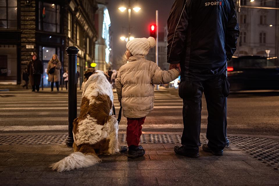 Illustration for article titled A fél internet ezt a fotót osztja, én se akarok kimaradni