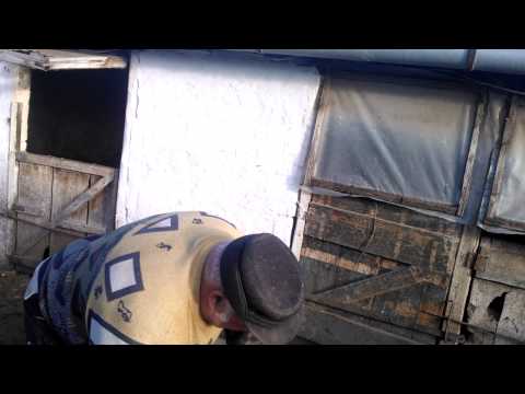 Én csak ma láttam a disznóflexelős videót