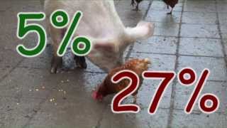 Nevettél már ma? A Kisgazdapárt 19 másodperc alatt megnyerte a kampányt